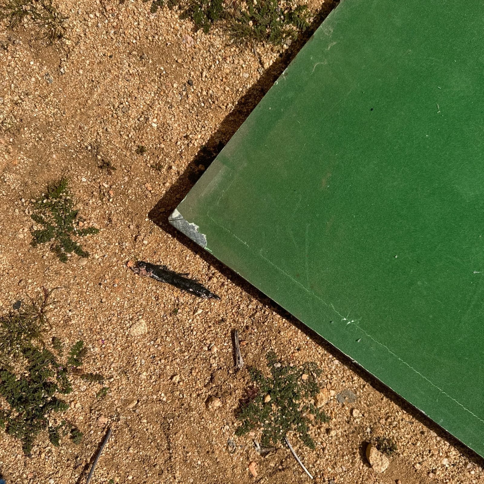 Dark Green & White Checkerboard Stone Decor - Monte Visión