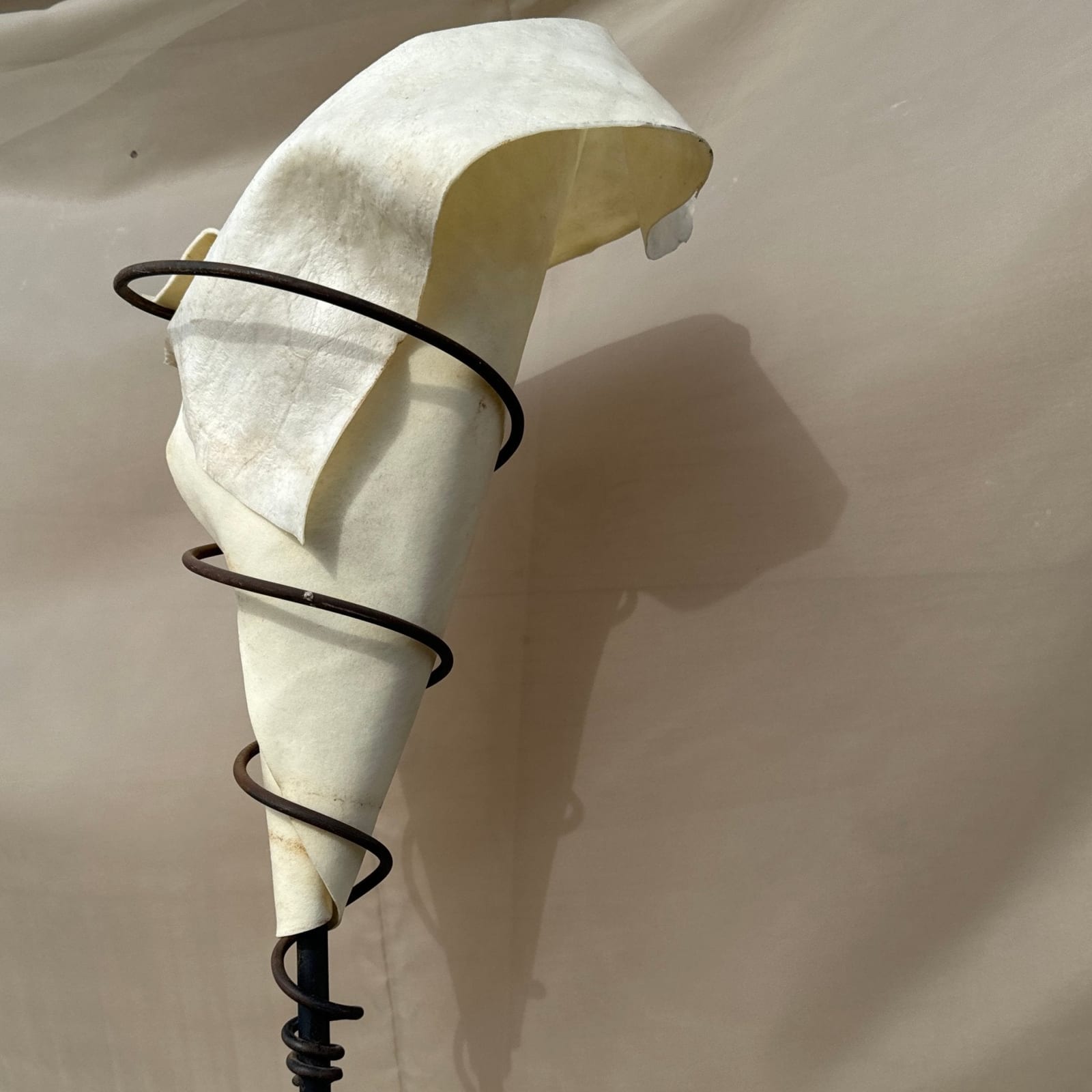 Postmodern Swirled Base & Freeform Rawhide Floor Lamp - Monte Visión