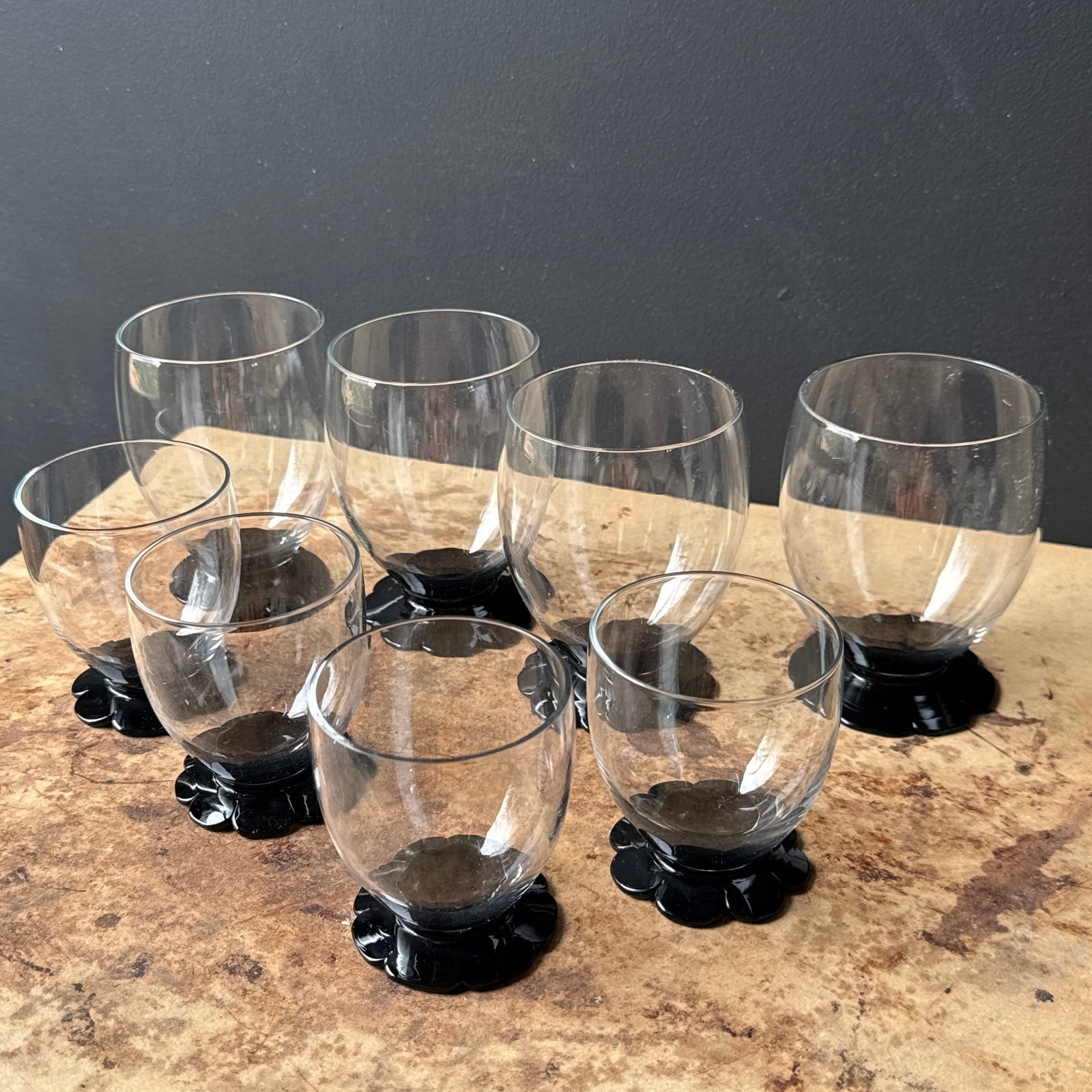 Vintage Black Daisy Cocktail Drinking Glasses- Set of 8 - Monte Visión