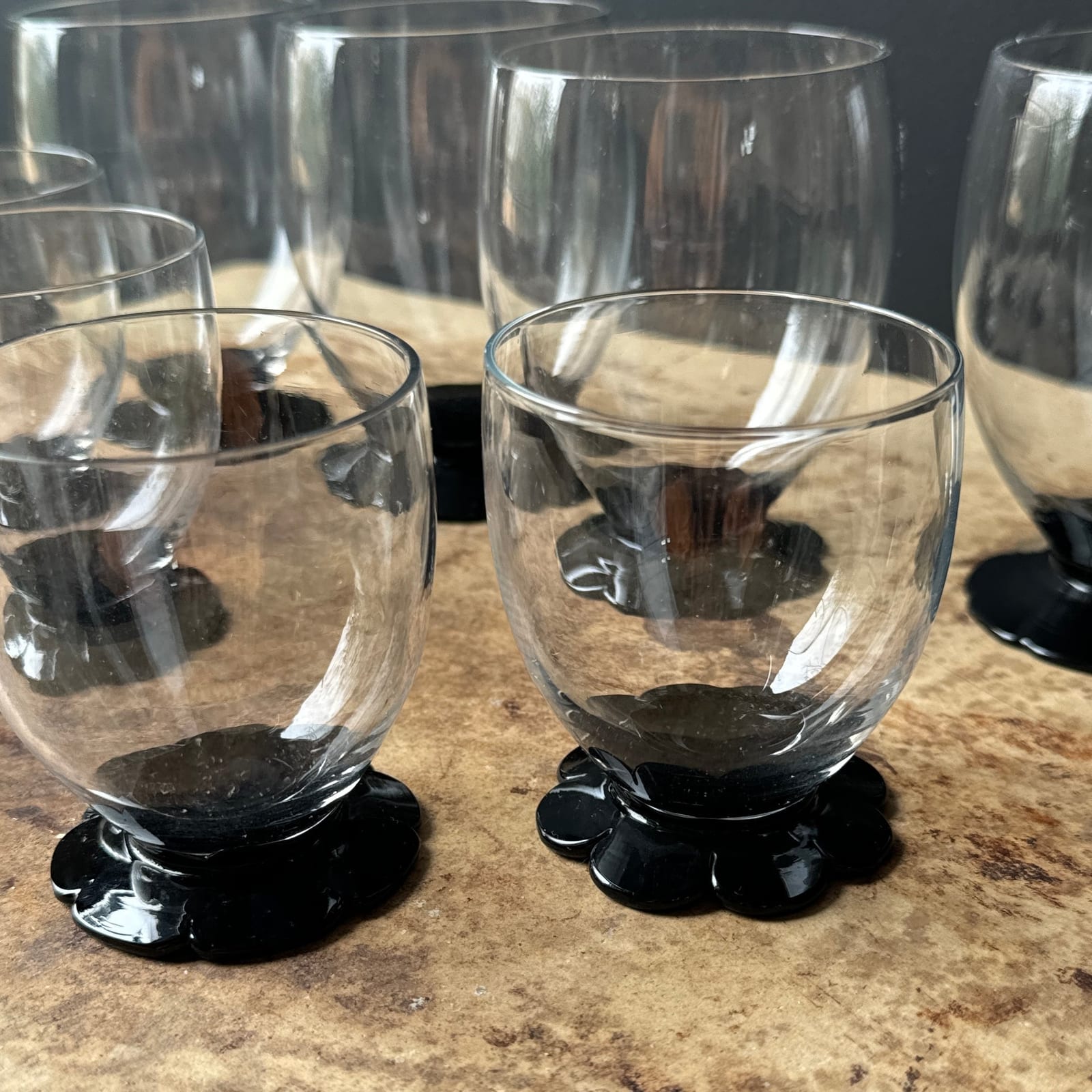 Vintage Black Daisy Cocktail Drinking Glasses- Set of 8 - Monte Visión