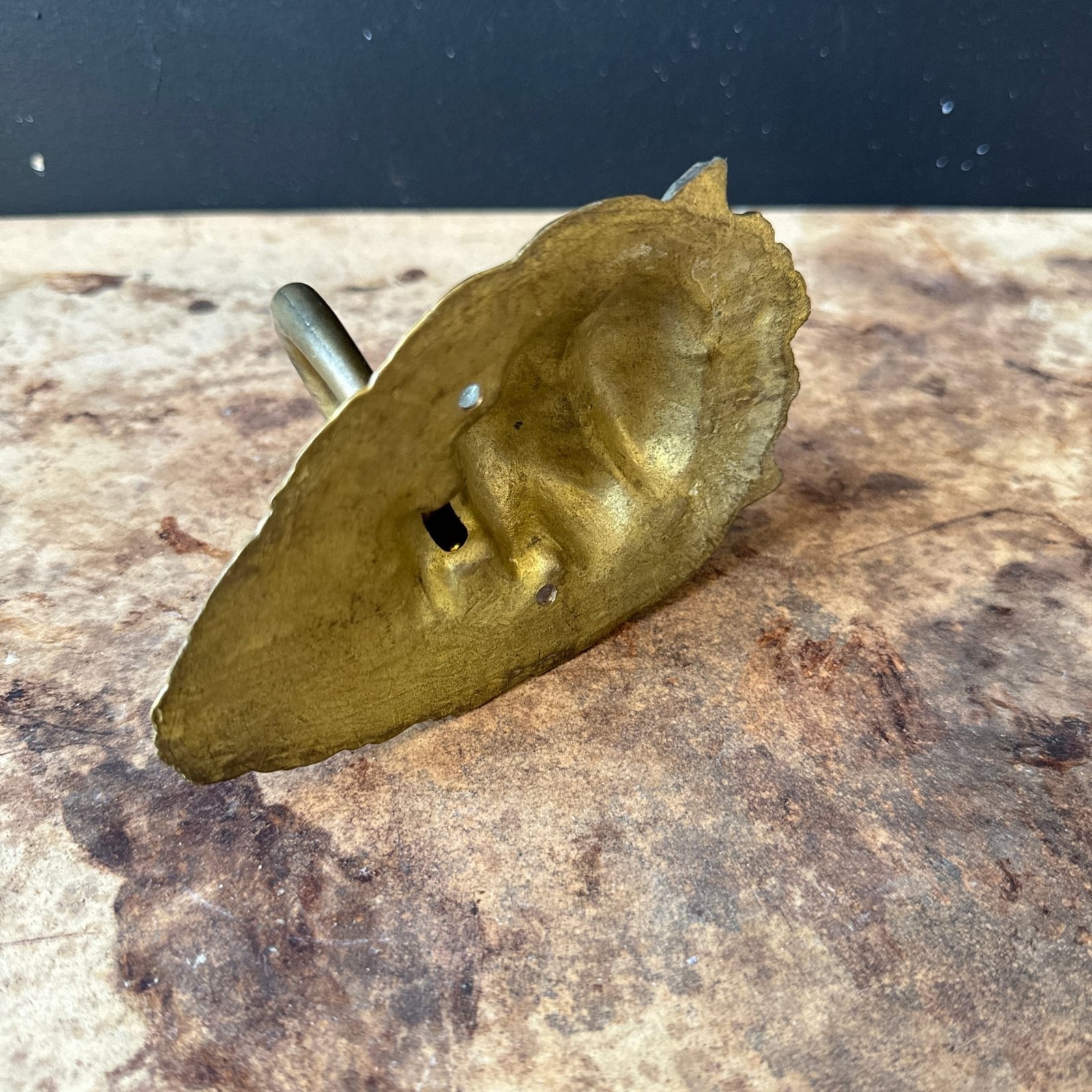 Vintage Bronze Lion Doorknocker - Monte Visión