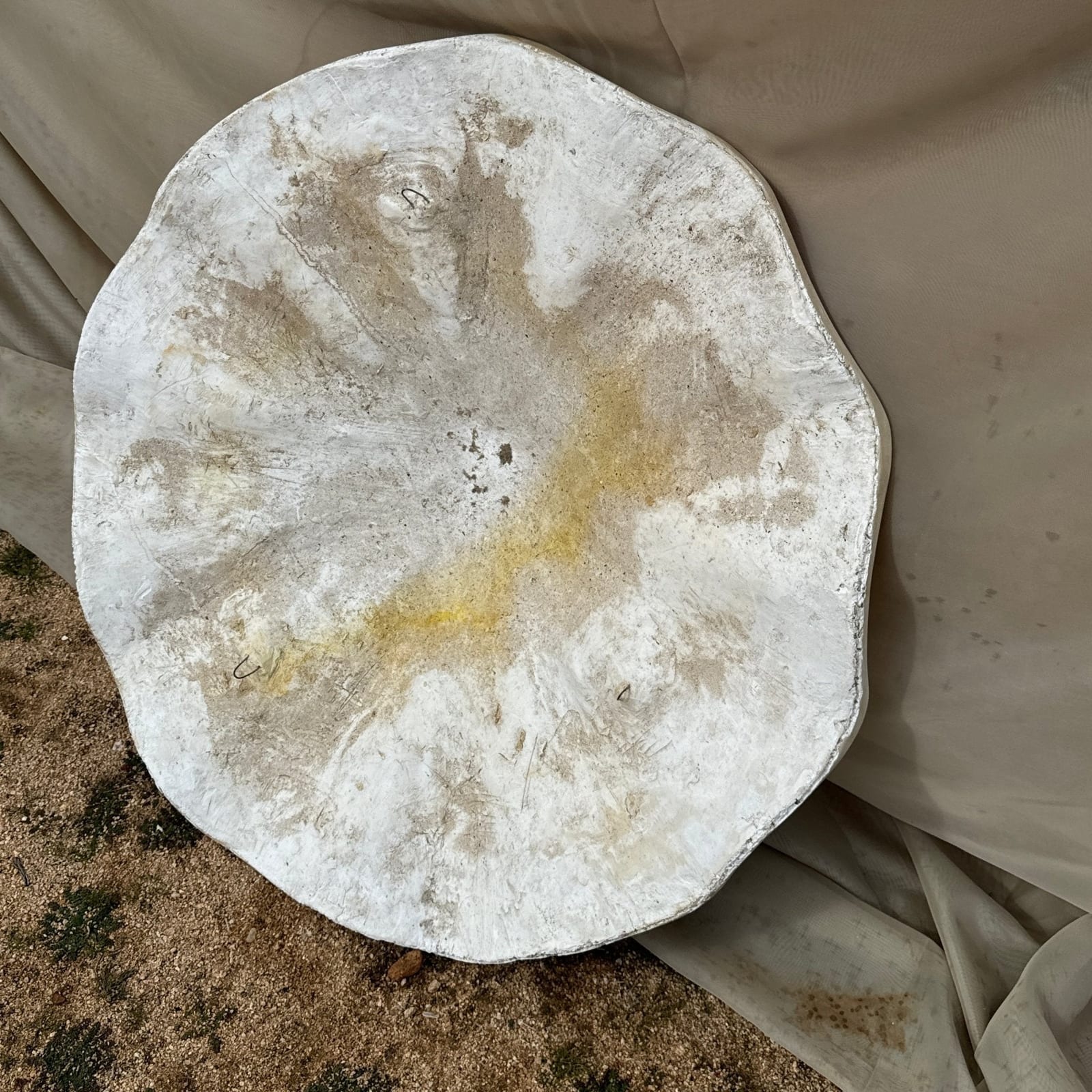 Vintage Oversized Scalloped Plaster Wall Art - Monte Visión