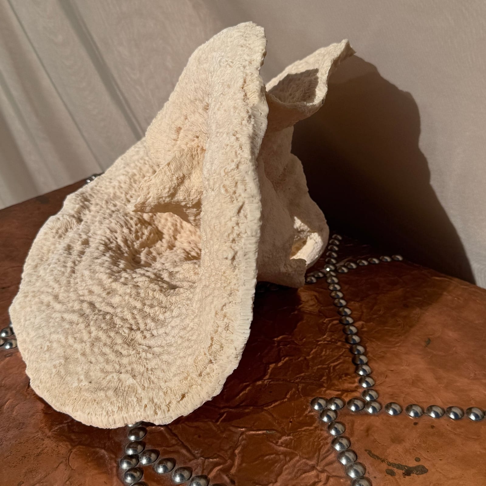 Vintage Oversized Sculptural Coral Piece - Monte Visión