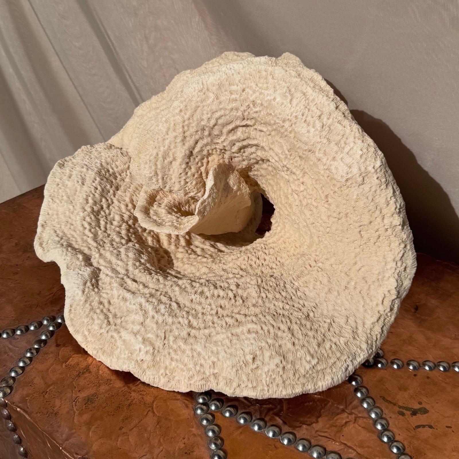 Vintage Oversized Sculptural Coral Piece - Monte Visión