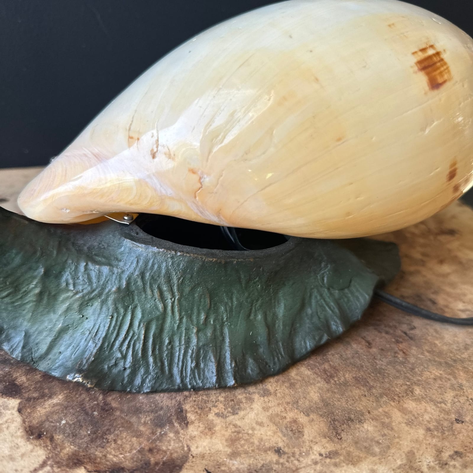 Vintage Solid Bronze Snail & Seashell Table Lamp - Monte Visión